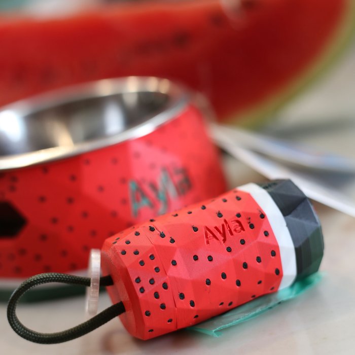 ālea Pet Bowl – Watermelon Edition × Ayla Pompom — foto 2