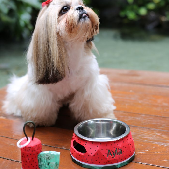 ālea Pet Bowl – Watermelon Edition × Ayla Pompom — foto 1