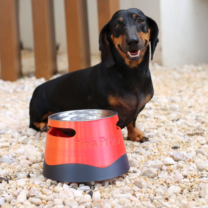 ālea Pet Bowl Wave × Cláudia — foto 7