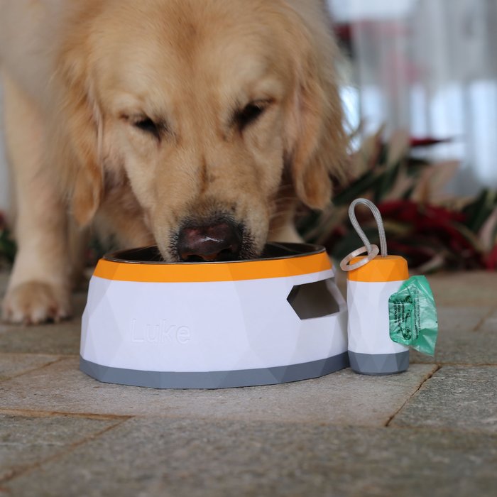ālea Pet Bowl × Luke — foto 4