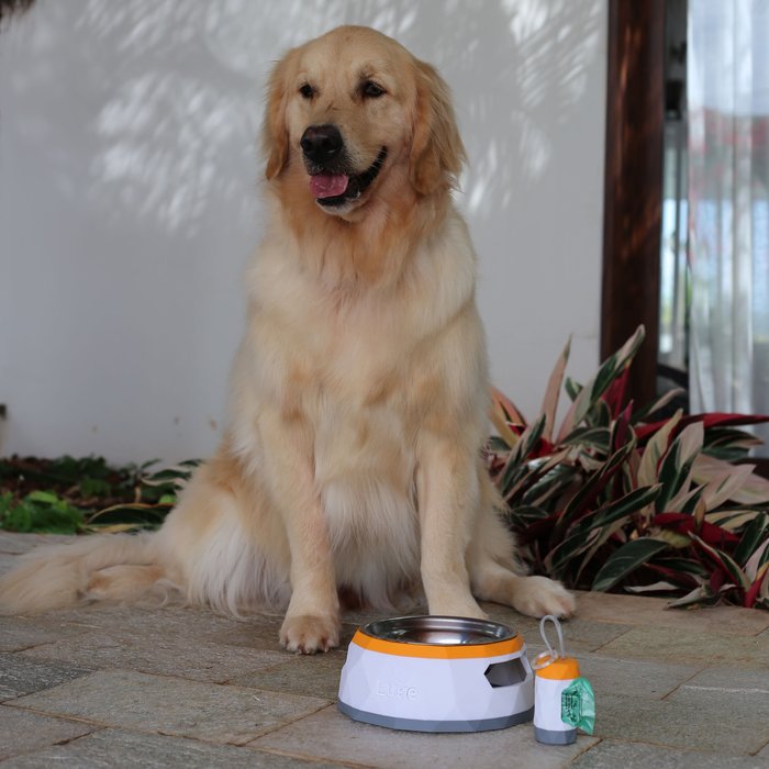ālea Pet Bowl × Luke — foto 1