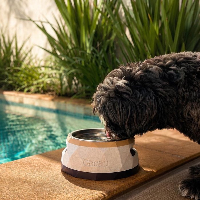 ālea Pet Bowl × Luke — foto 5