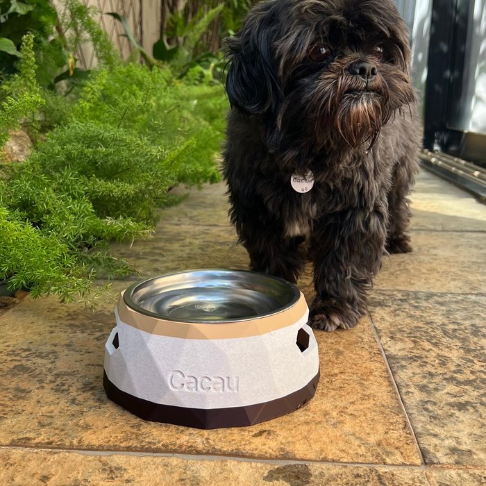 ālea Pet Bowl × Luke — foto 6