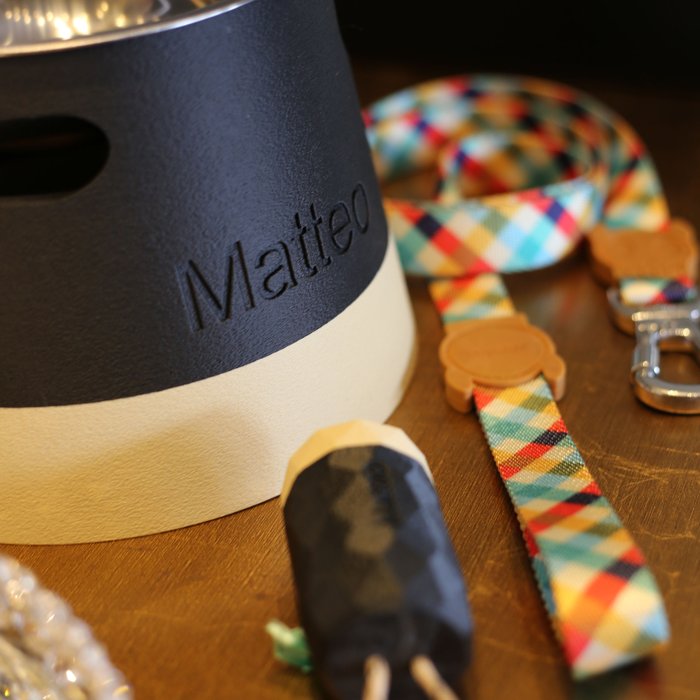 ālea Elevated Pet Bowl × Matteo — foto 2