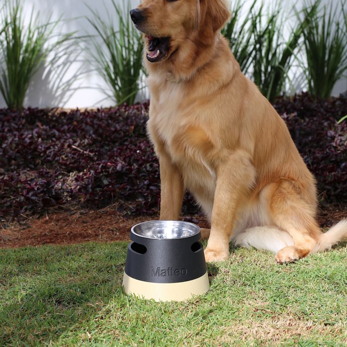 ālea Elevated Pet Bowl × Matteo — foto 3