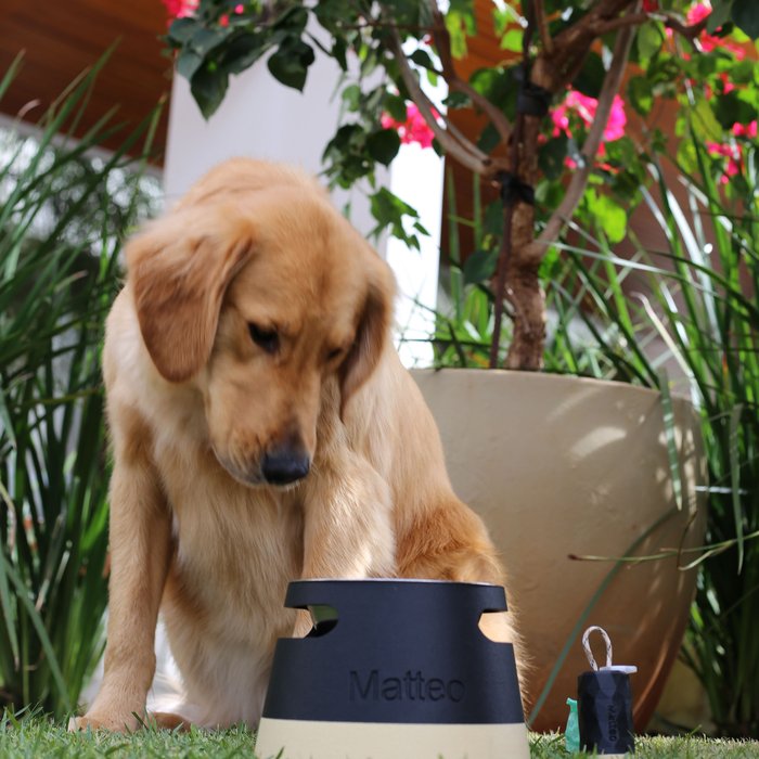 ālea Elevated Pet Bowl × Matteo — foto 7