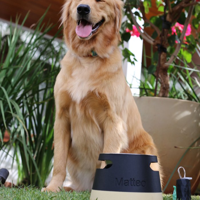 ālea Elevated Pet Bowl × Matteo — foto 1