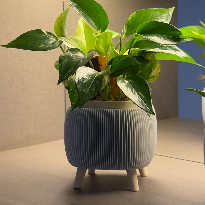 ālea Stria Planter — foto 3